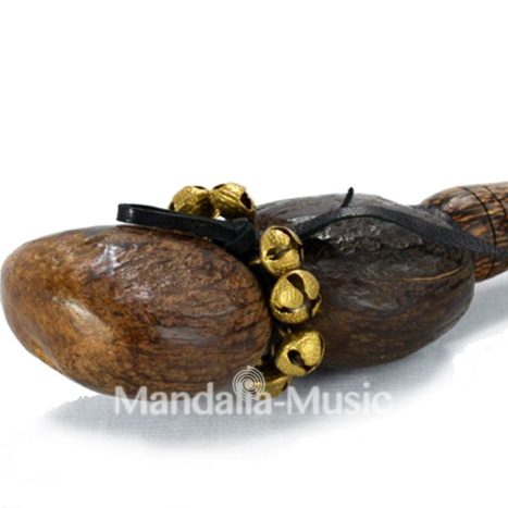 Noix maracas de Palmyra
