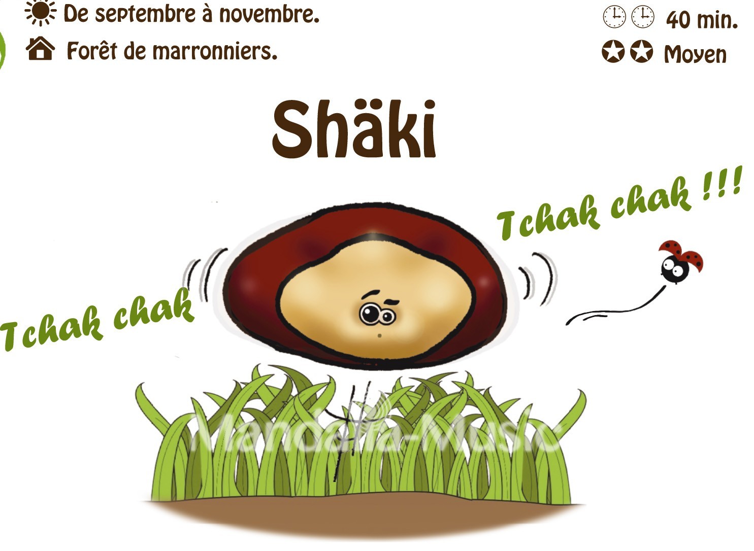 SHAKI : Le marron shaker (Flutin des bois)