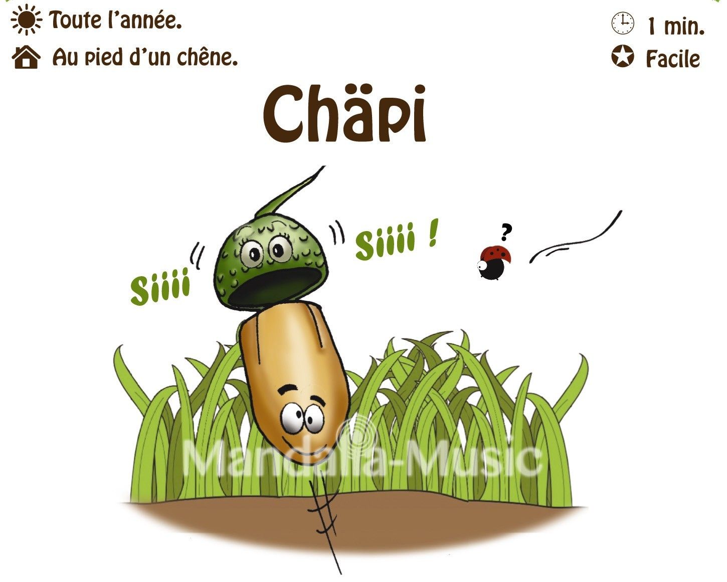 CHAPI : Le gland siffleur (Flutin des bois)