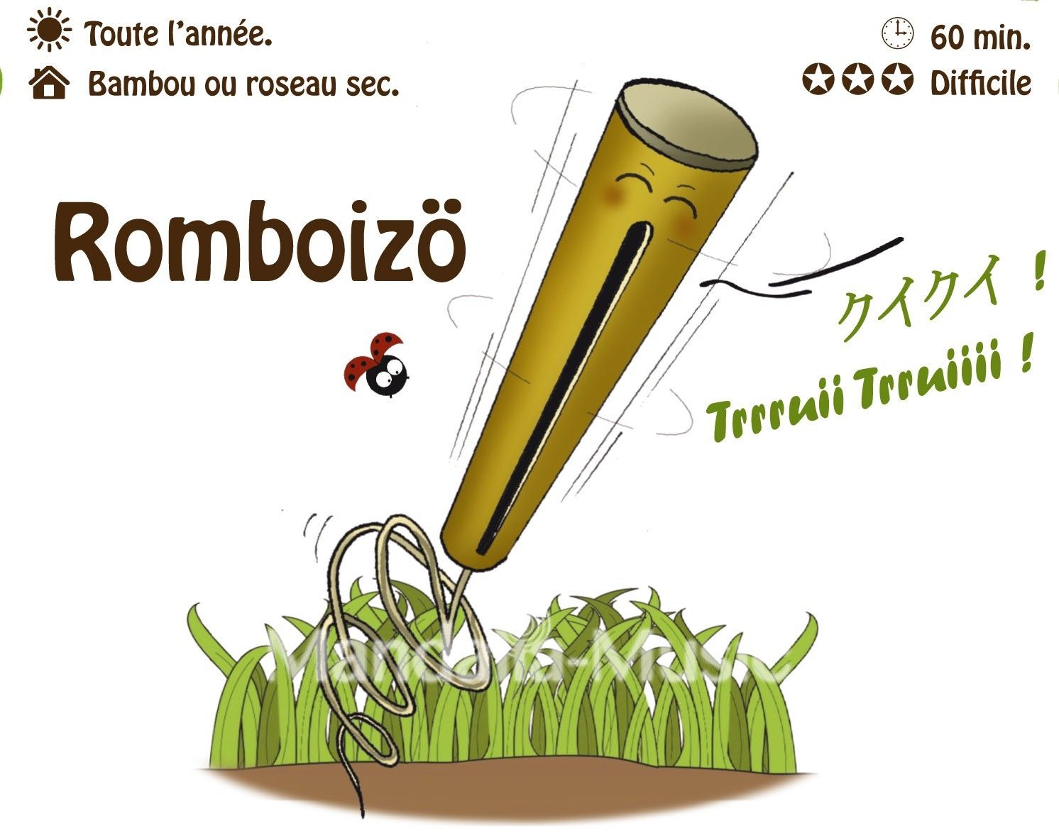 ROMBOIZO : La rhombe oiseau (Flutin des bois)