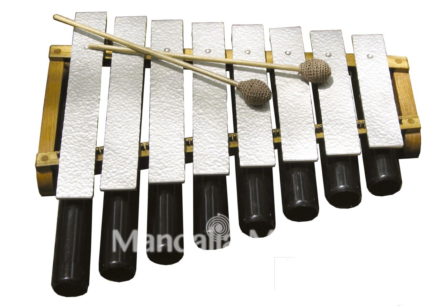 MUZIKKON MANDOLINE MODERNE : : Instruments de musique et Sono