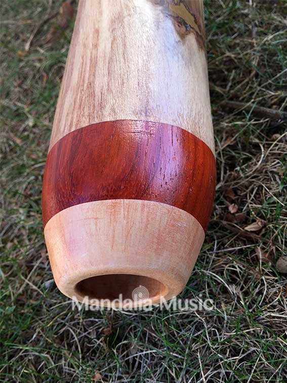Didgeridoo en bois flotté
