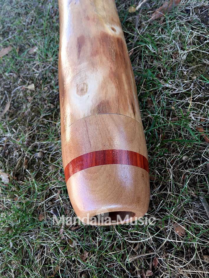 Didgeridoo en bois flotté