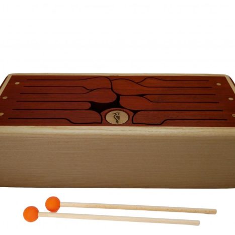 Tongue drum 10 lames en Ré mineur 440Hz + housse et mailloches